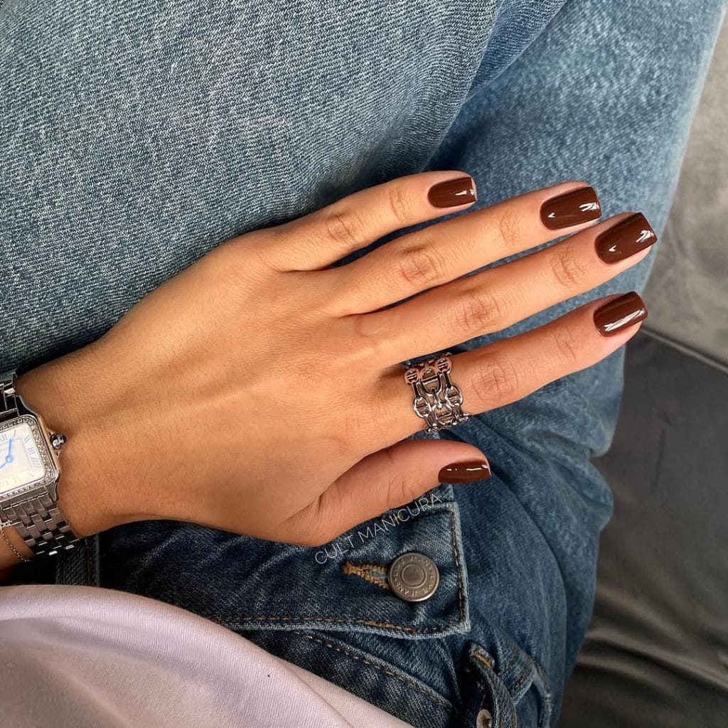 Short fall nails with glossy chocolate brown polish
