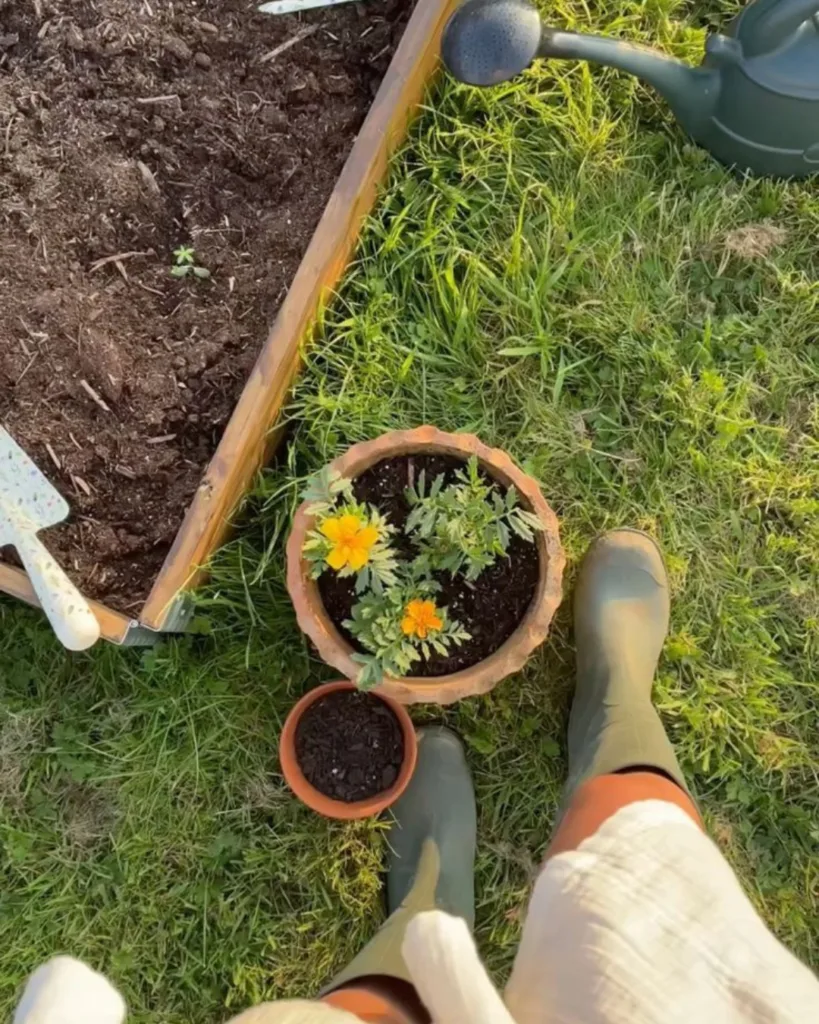 5 Summer Bucket List Ideas