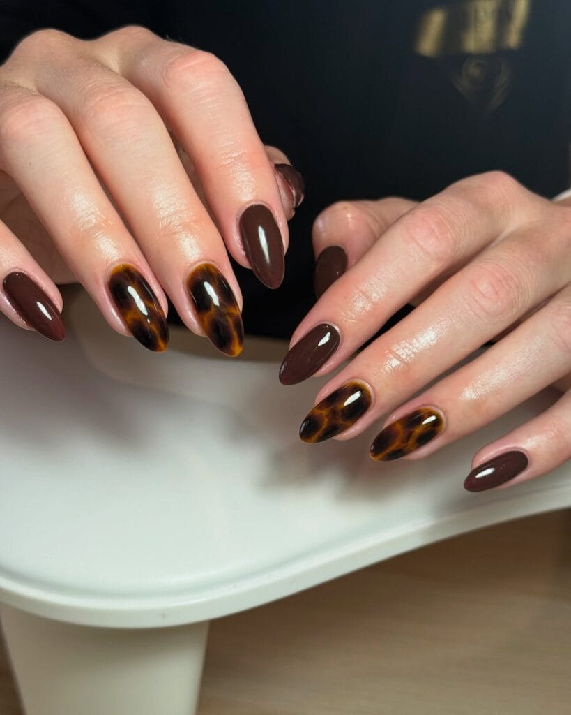 Almond tortoiseshell nails mixed with glossy chocolate brown solid nails.
